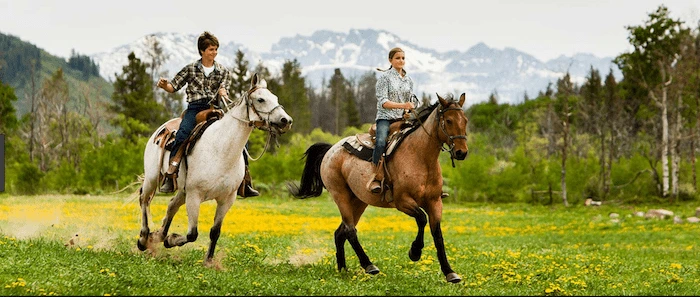 Confident plus-size woman riding Huddersfield a horse through a field with a smile on her face.